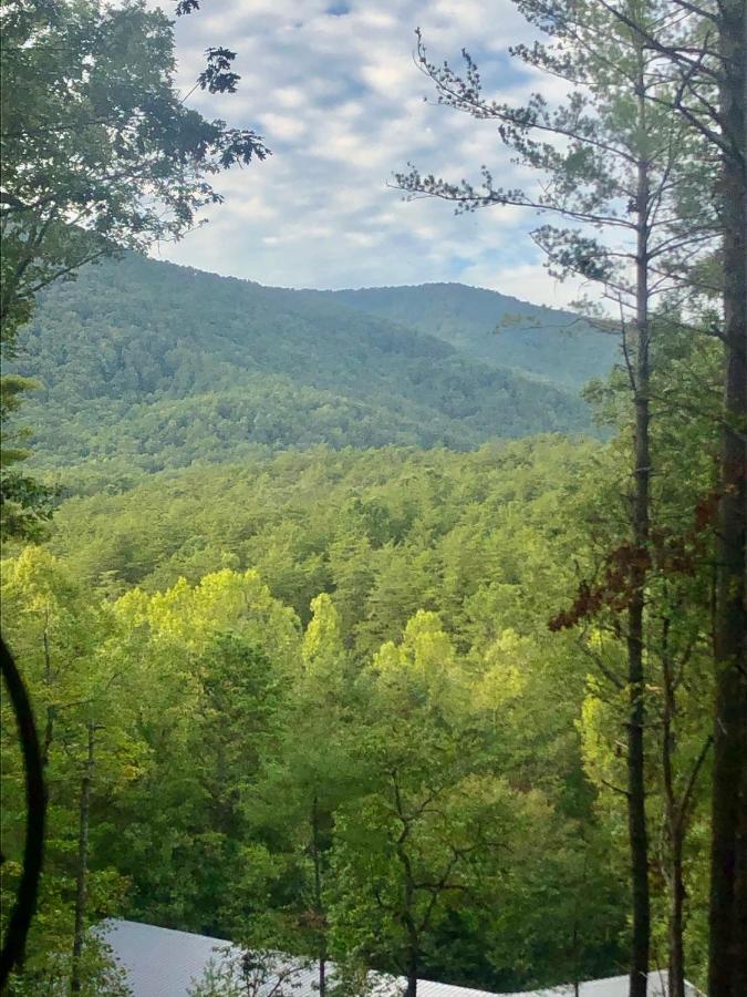 Mountain-Top Cabin Get-Away With Hot Tub And A View Sautee Nacoochee Dış mekan fotoğraf