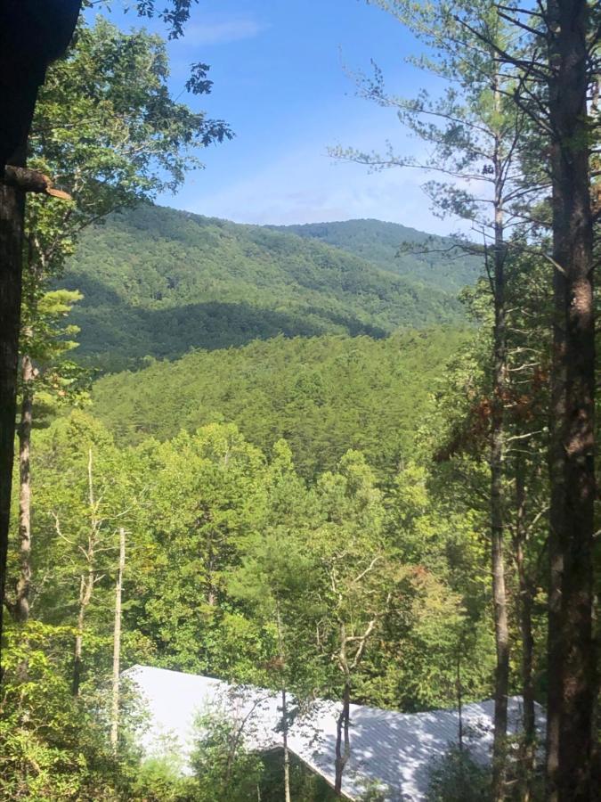 Mountain-Top Cabin Get-Away With Hot Tub And A View Sautee Nacoochee Dış mekan fotoğraf